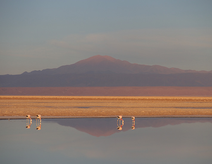 Panoramic of four flames in salar